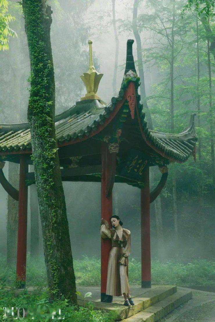 小猫钓鱼游戏龙王版有船